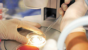 Processo fertilizacao in vitro advogado Processo Fertilização in vitro advogado