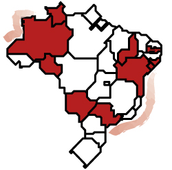 Tribunais de Justiça